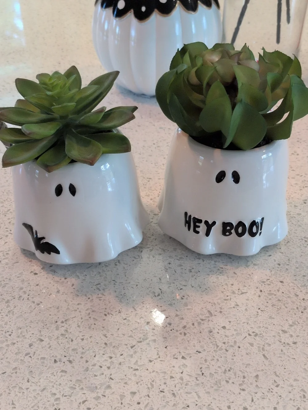 Hey Boo! White Ghost Succulent Planters- Set of 2